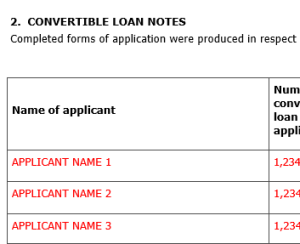 Board minutes resolving to issue convertible loan notes