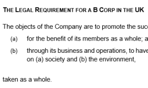 B Corp articles of association
