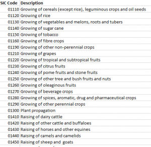 SIC Codes