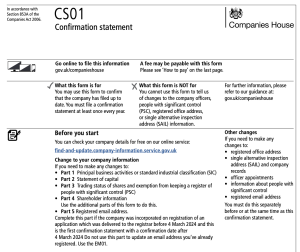 Confirmation statement form CS01