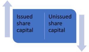 Authorised share capital