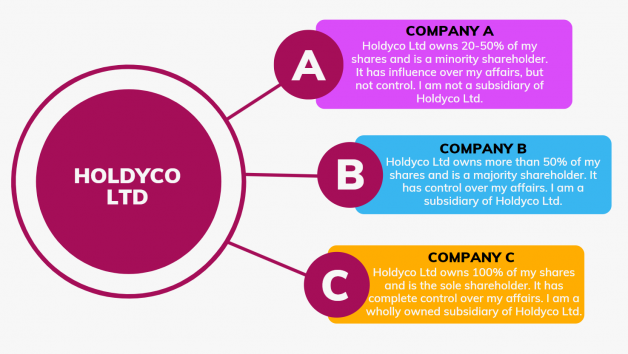 Holding company subsidiary definition