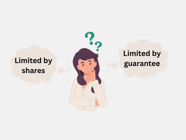 What is a company limited by guarantee